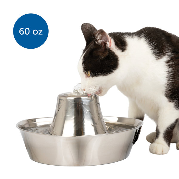 PetSafe® Seaside Stainless Pet Fountain & Reviews Wayfair